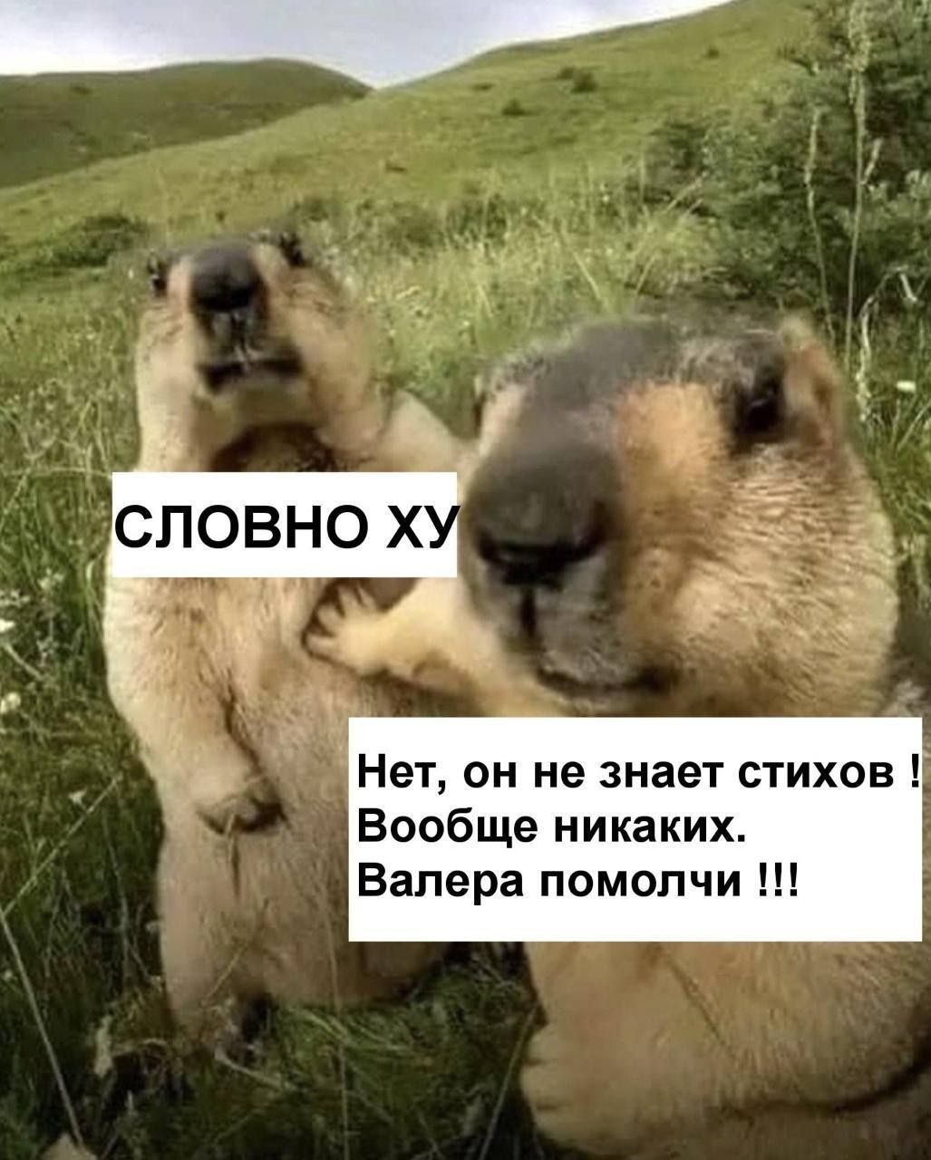 Публикация из Telegram