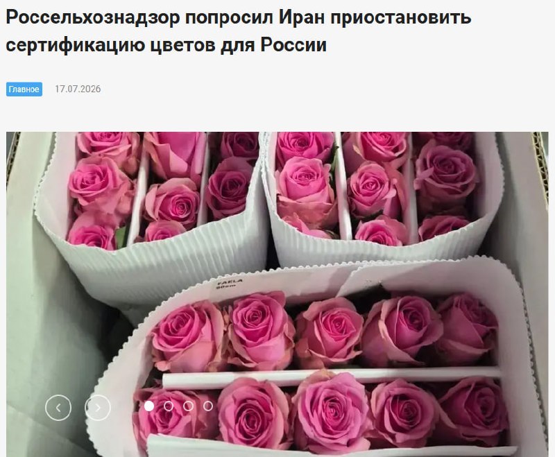 Россельхознадзор попросил Иран приостановить сертификацию цветов