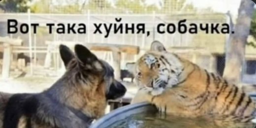 Новая публикация